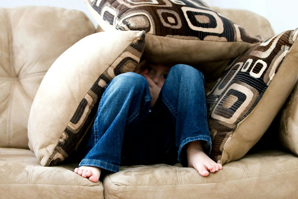 The Invisible Architecture of the Mind: How Olfactory Therapy Rewires Our Emotional Response