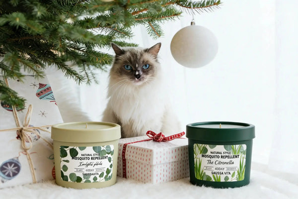 Best Reed Diffuser for Pets — How to Choose a Safe Home Fragrance
