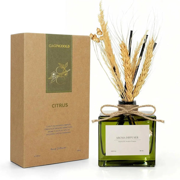 Sunlit Citrus Reed Diffuser